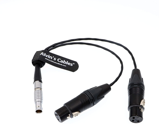 Alvin'S Cables XLR Breakout Audio Input Cable For Atomos Shogun Monitor Recorder 10 Pin To Dual XLR 3 Pin Female